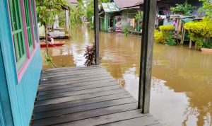 Sungai Barito Meluap, Warga Desa Malasan Diminta Tingkatkan Kewaspadaan