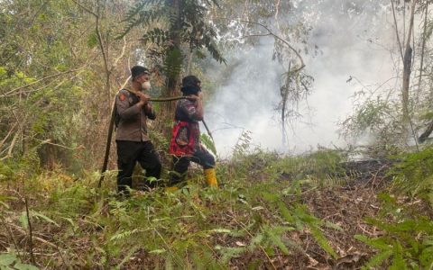 Lahan 0,25 Hektare Terbakar di Dayu, Api Berhasil Dikendalikan