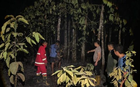 Karhutla Hanguskan 4 Hektare Lahan di Baruyan