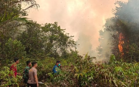 Karhutla di Wuran dan Ipu, Akses Sulit Jadi Kendala Pemadaman