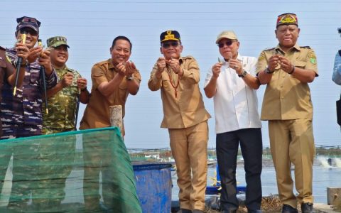 Gubernur Agustiar Sabran Tinjau Tambak Udang Vaname di Sukamara